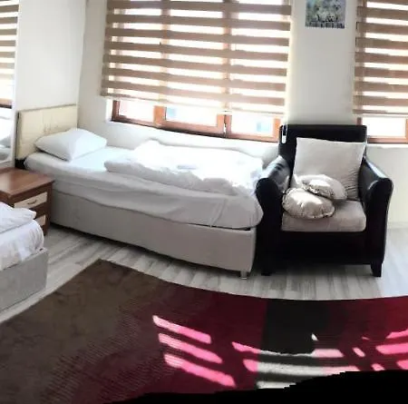 Apartman Old City